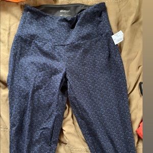 Westport leggings NEVER WORN, still has tag